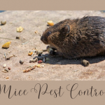 The Process of Patenting Your Invention